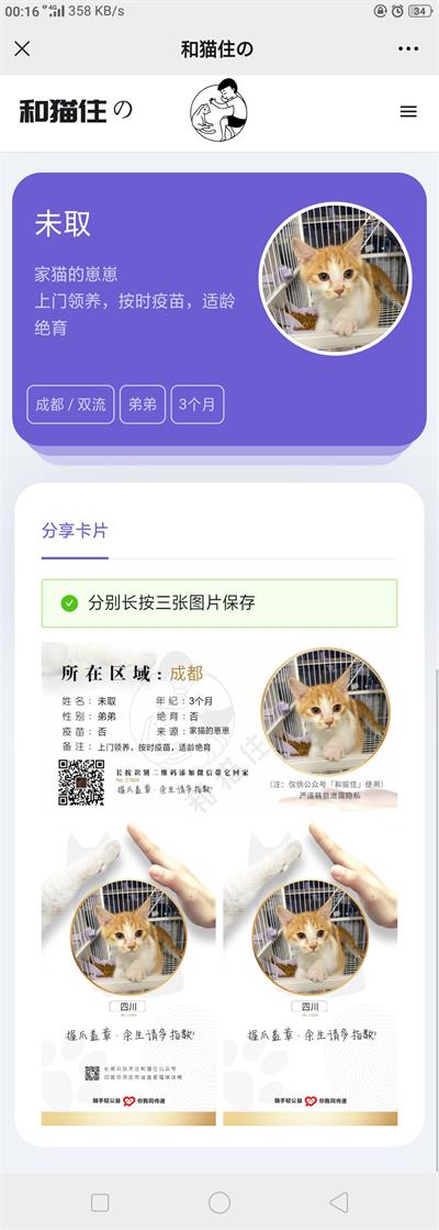 流浪猫流浪狗宠物领养平台H5源码 Thinkphp5内核-琪琪源码网