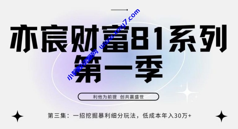 亦宸财富81系列第1季第3集:一招挖掘细分暴利玩法,低成本年入30w-琪琪源码网