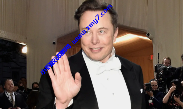 马斯克被指性骚扰空姐 SpaceX支付25万美元封口费 马斯克被指性骚扰空姐 SpaceX支付25万美元封口费-琪琪源码网