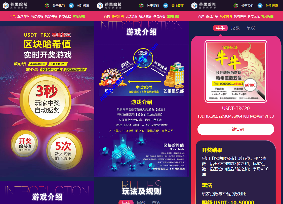 哈希值竞猜源码纯合约的返奖源码-琪琪源码网