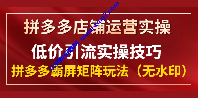 拼多多店铺运营实操，低价引流实操技巧，拼多多霸屏矩阵玩法（无水印）-琪琪源码网