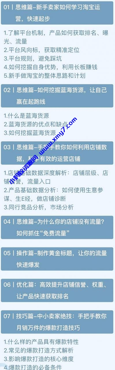 天猫淘宝爆款运营实操技术系列课：资深电商人手把手教你做淘宝（无水印）-琪琪源码网