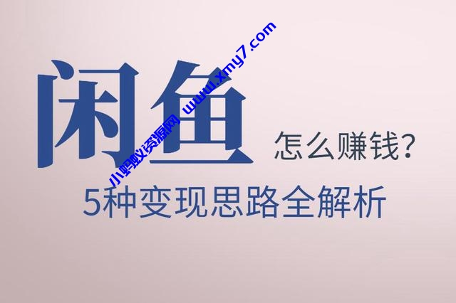 佐道副业特训营13:闲鱼怎么赚钱？5种变现思路全解析-琪琪源码网