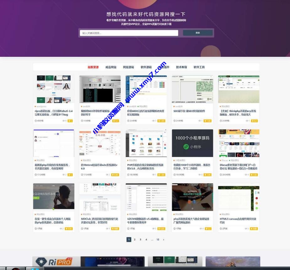 ripro9.0修正升级版+WP两款美化包+稀有插件-琪琪源码网