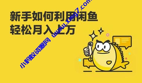 闲鱼卖货教程：新手没经验学闲鱼卖货，3周卖货收入2万（价值889）-琪琪源码网