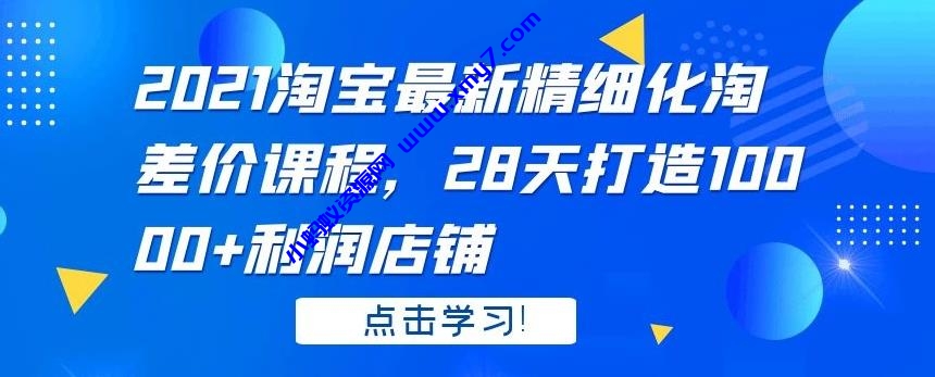 2021淘宝最新精细化淘差价课程，28 天打造 10000+利润店铺-琪琪源码网