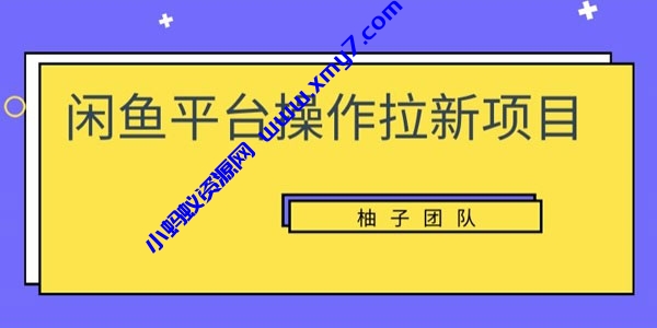 柚子团队《闲鱼平台操作拉新项目》单笔起步利润100+-琪琪源码网