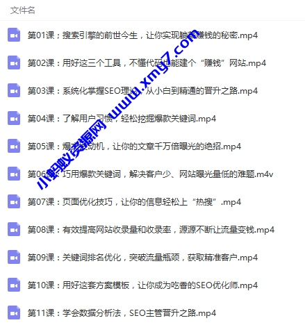 零基础学SEO引爆流量躺赚 SEO视频教程-琪琪源码网