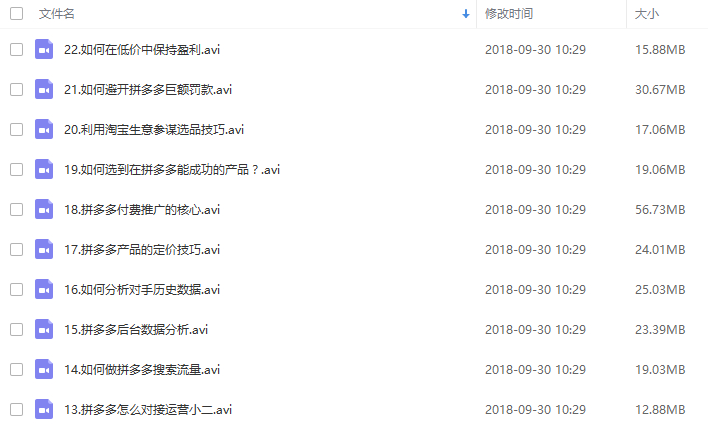 拼多多运营学习讲座火爆运营开店教程（共22课）-琪琪源码网