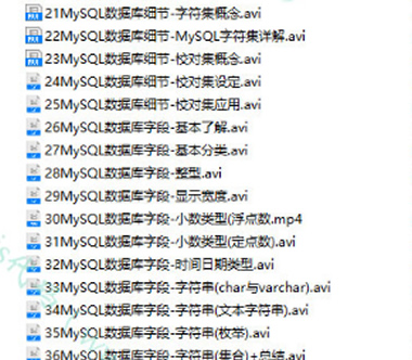PHP数据库编程零基础入门到精通视频教程-琪琪源码网