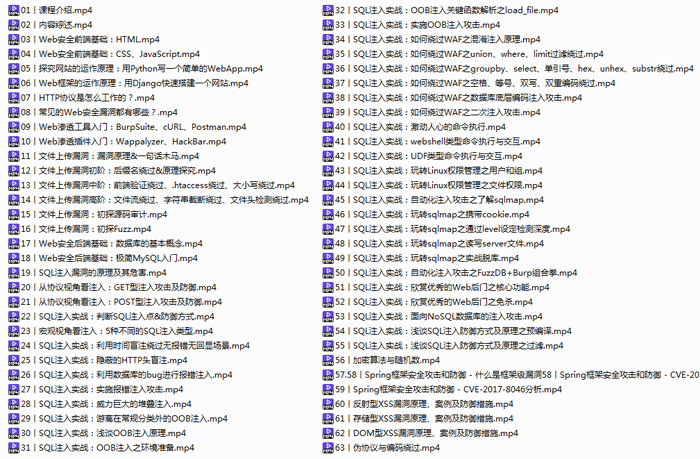 Web网络安全攻防实战视频-琪琪源码网