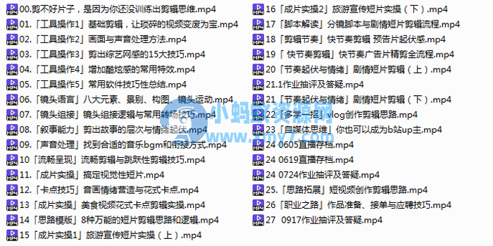 PR CC2019零基础系统学剪辑-琪琪源码网