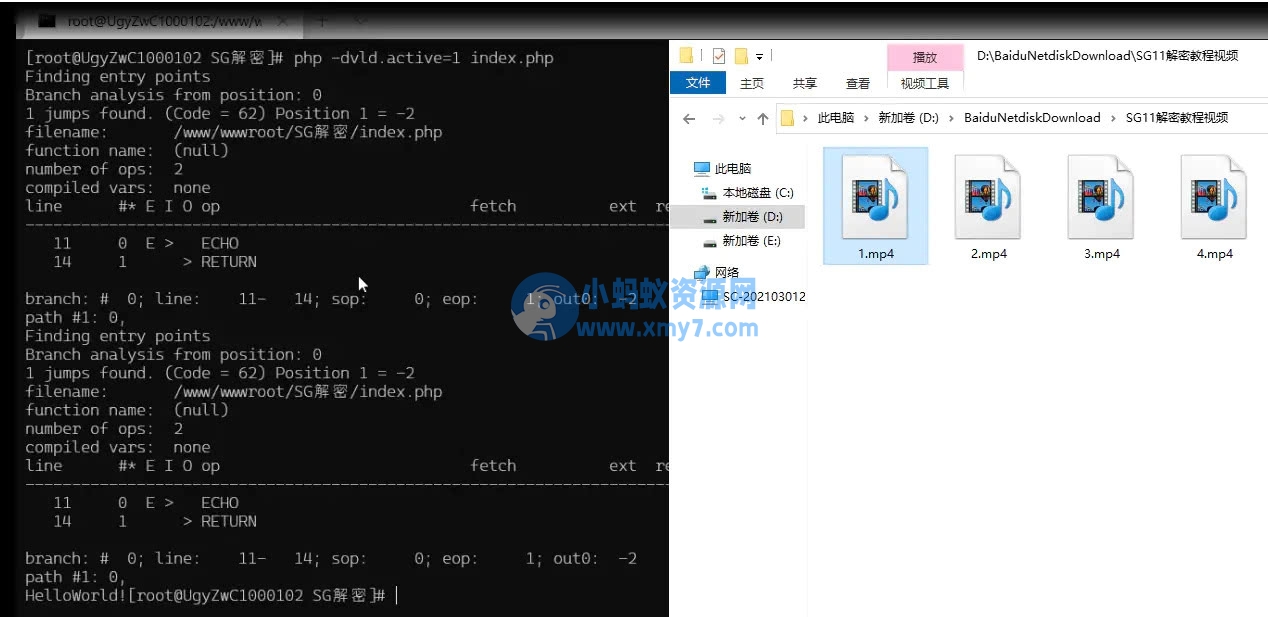 SG11详细解密视频教程-sg11解密方法-琪琪源码网