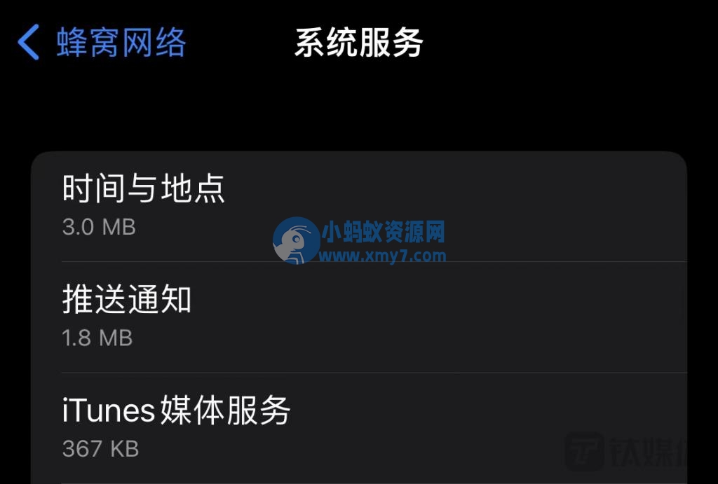 iPhone 偷跑流量,或因 iOS 15.5 系统漏洞导致-琪琪源码网