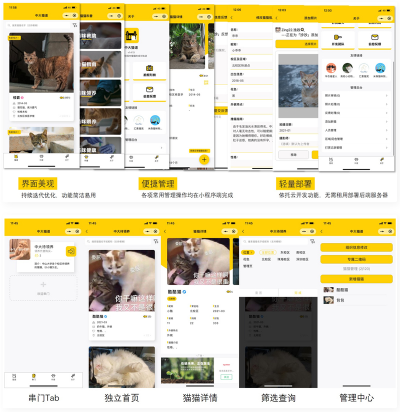 校园流浪猫信息记录和分享的小程序源码-琪琪源码网