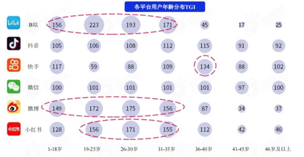 盘点各大新媒体平台用户及平台调性和引流变现的思路-琪琪源码网
