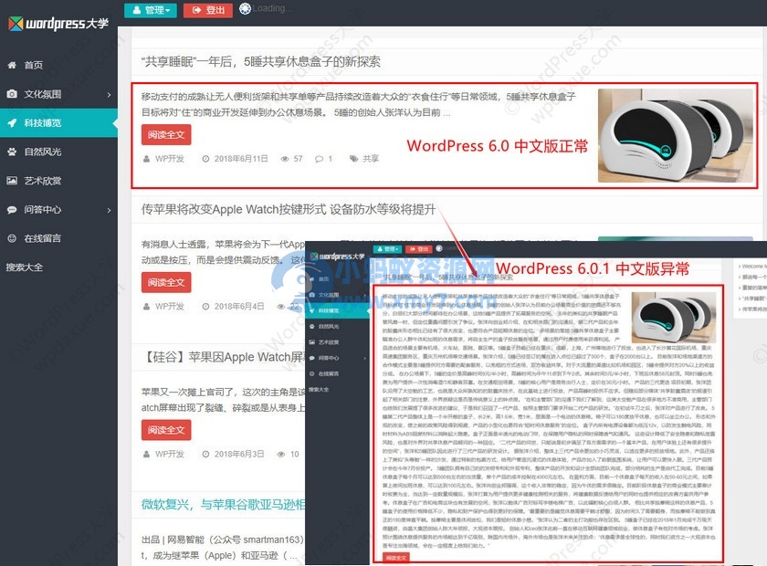 WordPress 6.0.1 简体中文版导致摘要截取失效的解决办法-琪琪源码网