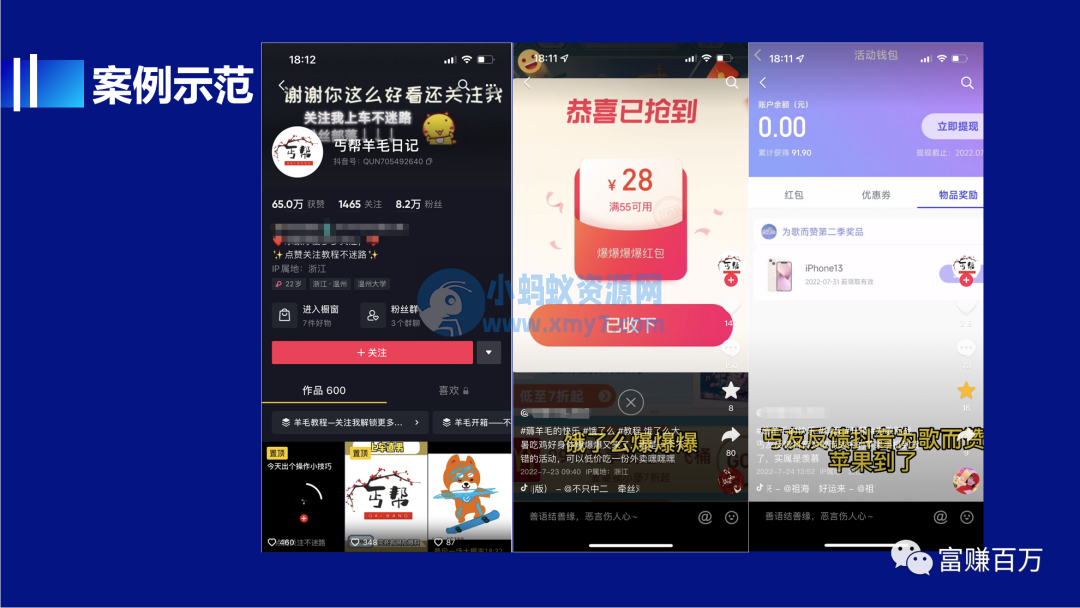 揭秘羊毛党做抖音如何年入10w+-琪琪源码网