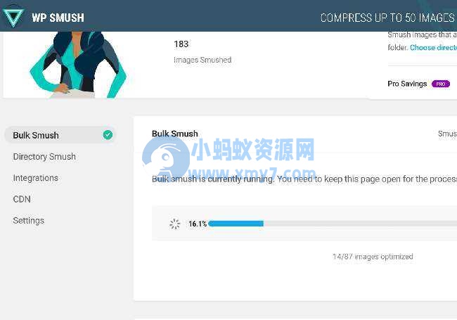 WordPress插件WPSmushProv3.7.0图片上传压缩插件WordPress图像优化插件-琪琪源码网