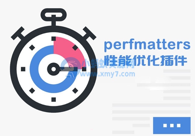 WordPress优化插件：Perfmatters v1.8.0-琪琪源码网
