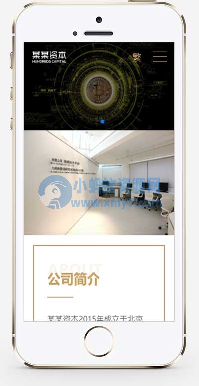 (自适应手机端)简繁双语响应式HTML5通用金融资本咨询网站单页pbootcms模板-琪琪源码网