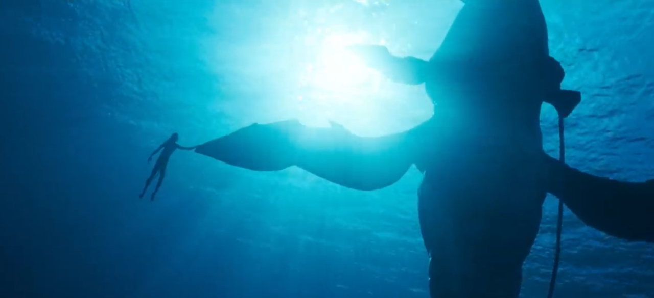 《阿凡达：水之道》海洋保护公益片发布，12 月 16 日上映-琪琪源码网