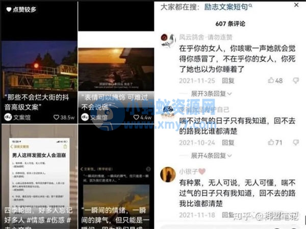 分享一个抖音文案号的项目 抖音营销 抖音 好文分享 第3张 分享一个抖音文案号的项目-琪琪源码网