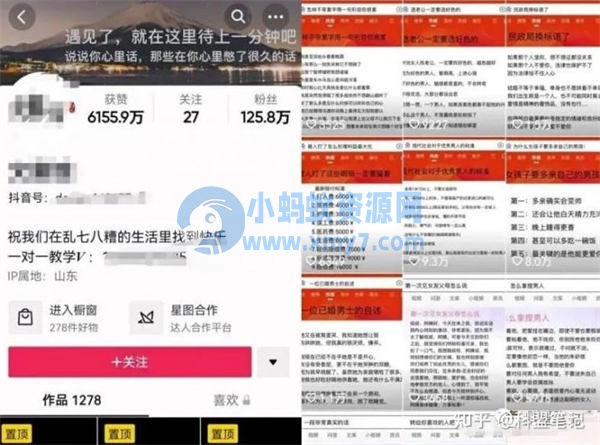 分享一个抖音文案号的项目 抖音营销 抖音 好文分享 第1张 分享一个抖音文案号的项目-琪琪源码网