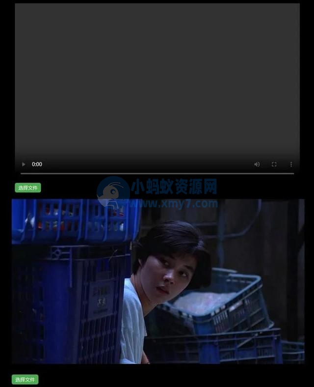 H5视频播放器源码_支持本地选择视频播放，带截图功能-琪琪源码网