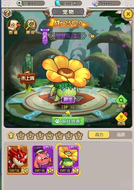 石器时代修复补丁_附带使用教程-琪琪源码网