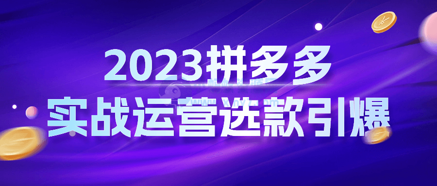 2023拼多多实战运营选款引爆-琪琪源码网