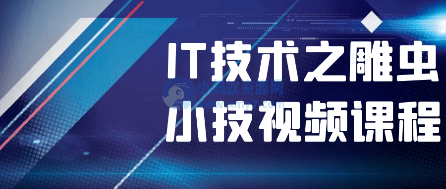 IT技术之雕虫小技视频课程-琪琪源码网