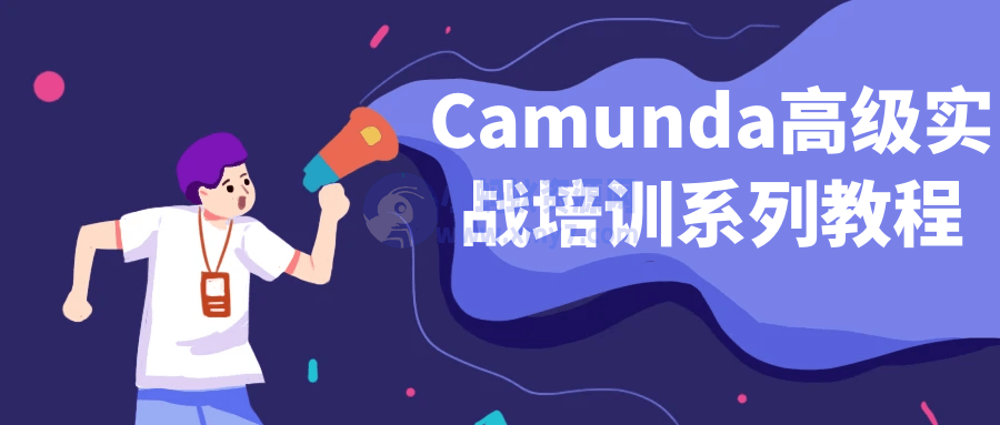 Camunda高级实战培训系列教程-琪琪源码网