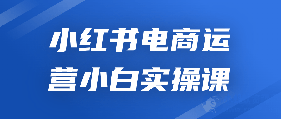 小红书电商运营小白实操课-琪琪源码网