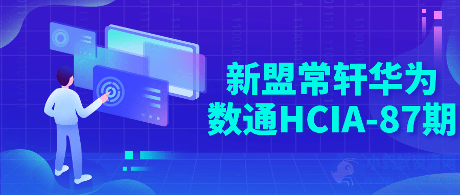 新盟常轩华为数通HCIA-87期-琪琪源码网