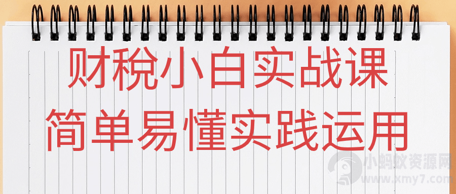 财稅小白实战课简单易懂实践运用-琪琪源码网