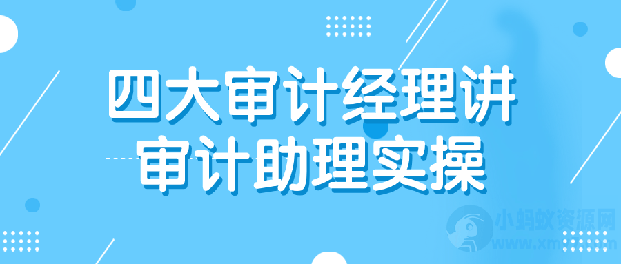 四大审计经理讲审计助理实操-琪琪源码网