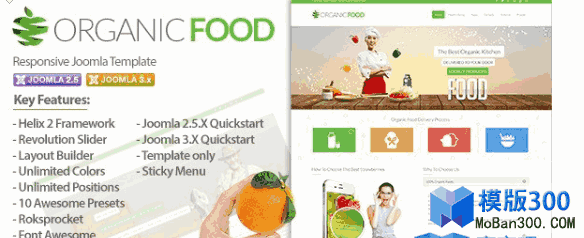 [精仿]Organic Food绿色食品保健品joomla模板-琪琪源码网