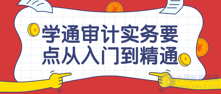 学通审计实务要点从入门到精通课-琪琪源码网