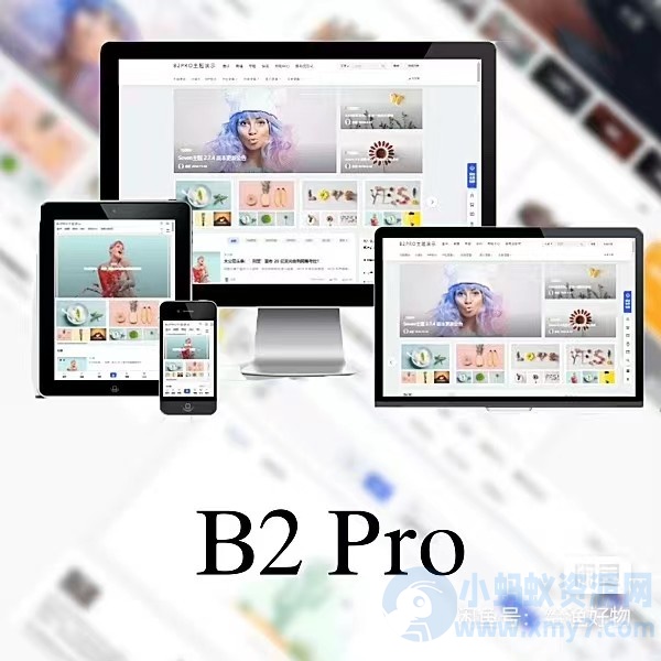 WordPress B2 Pro 主题5.2.0最新版本，欢乐版，包含官方包体和授权文件-琪琪源码网