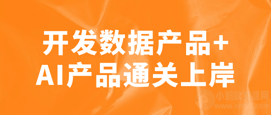 开发数据产品+AI产品通关上岸-琪琪源码网