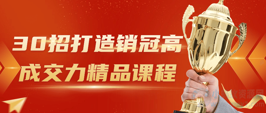 30招打造销冠高成交力精品课程-琪琪源码网