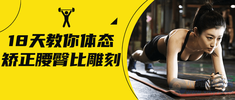 18天教你体态矫正腰臀比雕刻-琪琪源码网