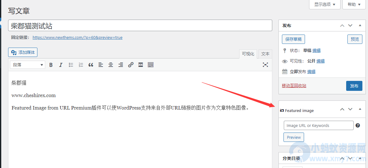 WordPress特色图片插件–Featured Image from URL Premium v6.2.2 破解版下载-琪琪源码网
