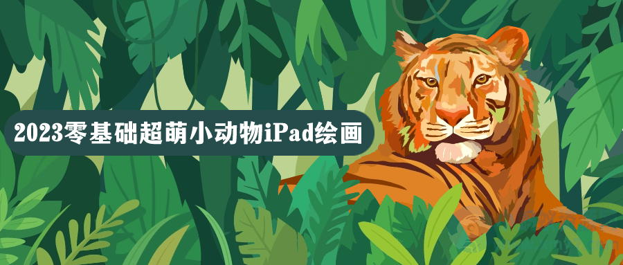 2023零基础超萌小动物iPad绘画-琪琪源码网