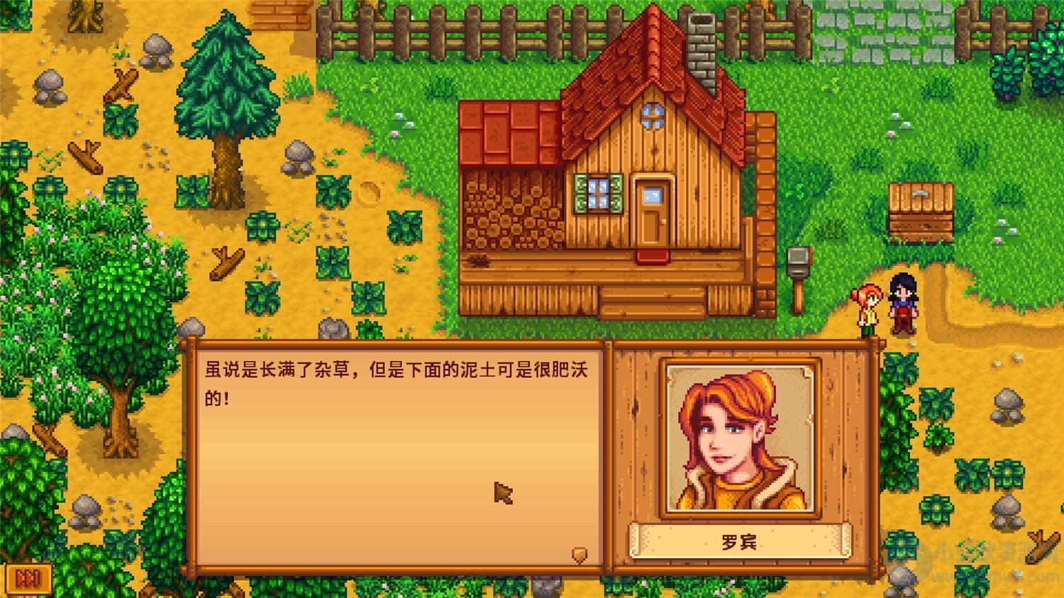 《星露谷物语》v1.6.2中文版-琪琪源码网