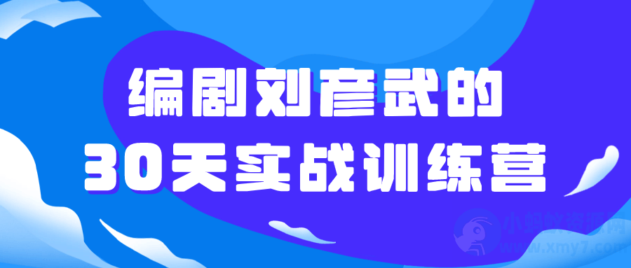 编剧刘彦武的30天实战训练营-琪琪源码网